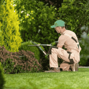 Landscaper